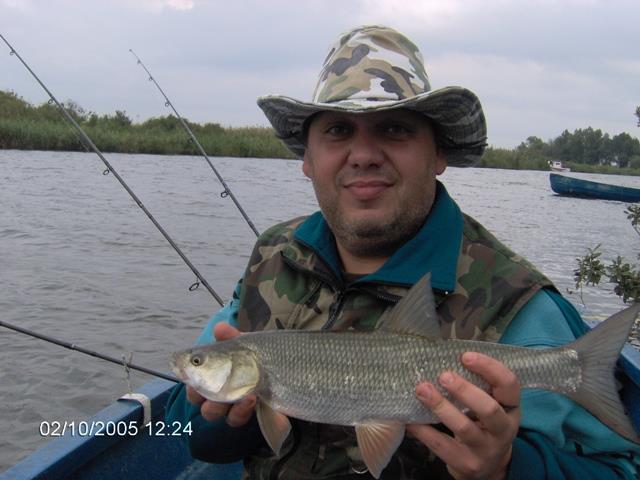 delta rosu 2005 - im000690.jpg